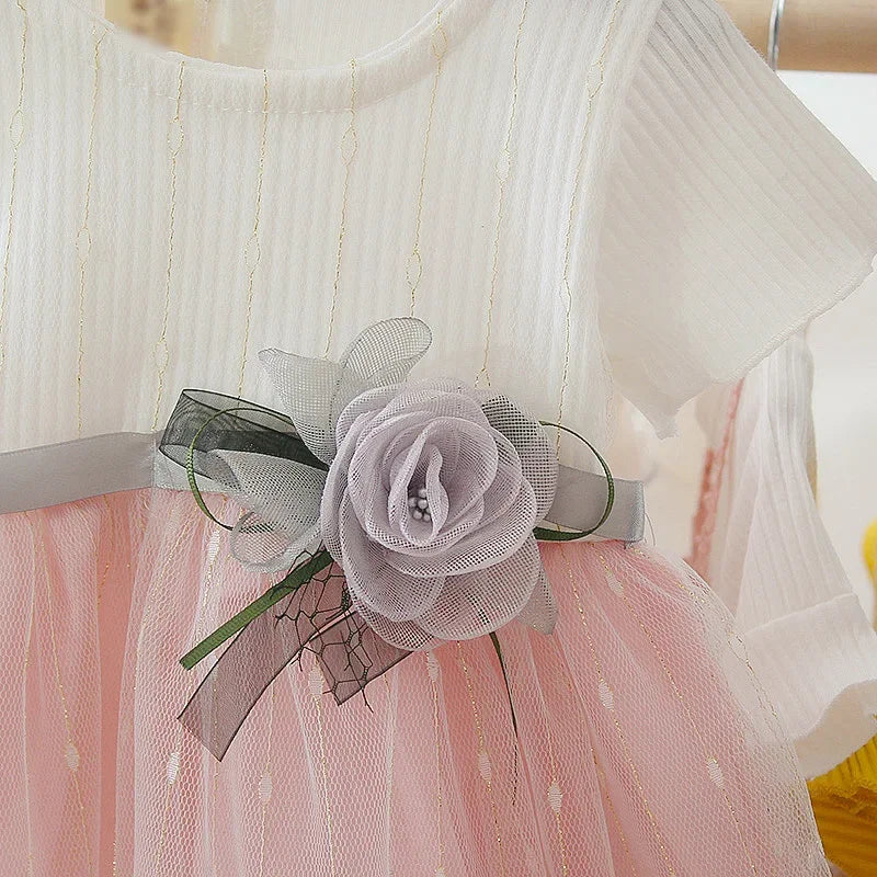 Kidsclick Baby Girl Flower Tulle Princess Dress – Ribbon Party Dress